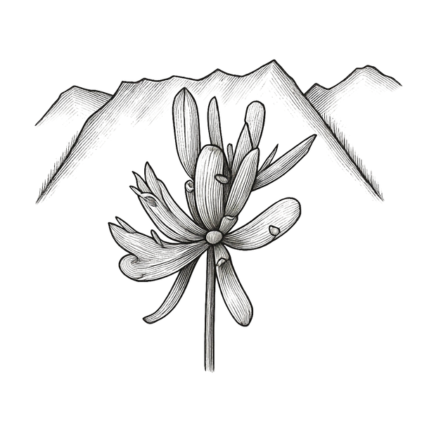 Wasatch Flora